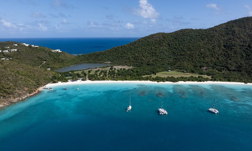 guana-island guana-island